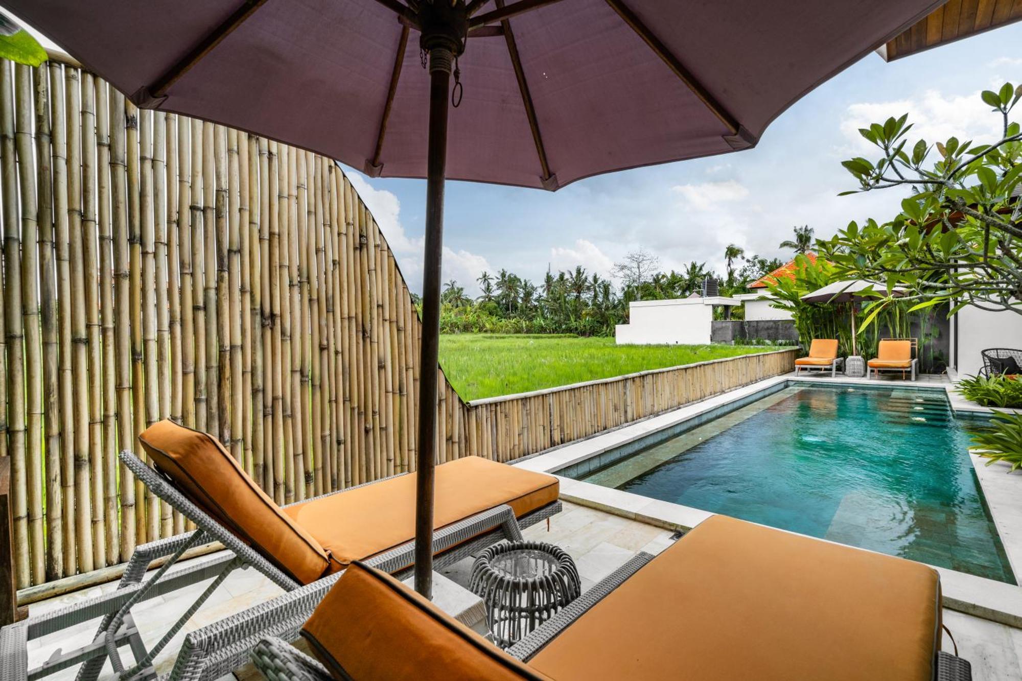 Villa Hatchi By Balisuperhost أوبود المظهر الخارجي الصورة